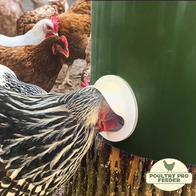 The Original Poultry Pro Feeder DIY Port PVC Gravity Fed Chicken Feeder | Single Port Chicken Feeder for Chicken Coop | Use for Buckets & Bins | Rain Proof, Weather Resistant - Original Feeder 1-Port