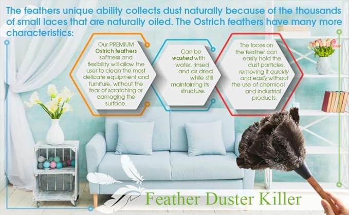 Ostrich Feather Duster with Extension Pole Up to 42"