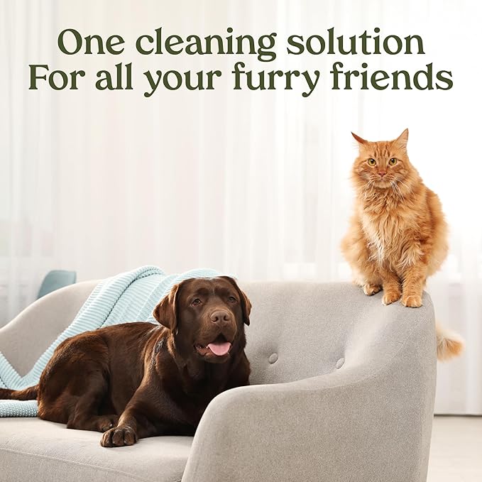 PAWFUME Stain & Pet Urine Odor Eliminator, 2-Pack – Removes Impurities in Seconds – Enzymatic Formula, Quick-Dry Action, & Eco-Friendly Ingredients – Upholstery, Fabrics, and Carpet Cleaner Spray