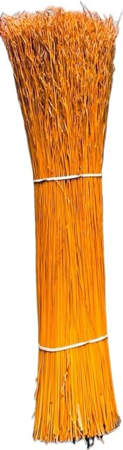Craft Broomcorn 20" 1 Pound outsides/hurl (1 Pound, Orange)
