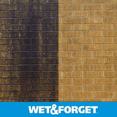 Wet & Forget Moss, Mold, Mildew, & Algae Stain Remover Multi-Surface Outdoor Cleaner Concentrate, Original, 64 Fluid Ounces (2 Pack)