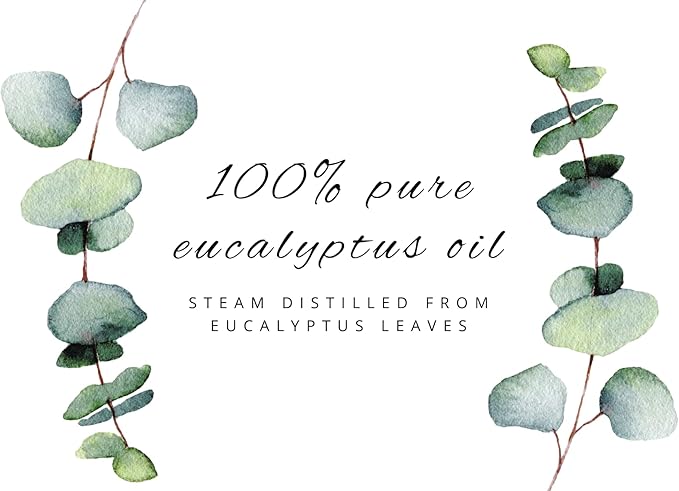 GreenHealth Eucalyptus Essential Oil – 32 fl oz (946 ml) – 100% Pure & Natural – Bulk Aromatherapy Oil in Aluminum Bottle – for Diffuser, Cleaning, Air Freshener, Home Fragrance