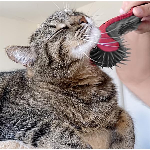KittyWand Cat Brush, Black. Designed for Comfort, Created for Results. This innovative grooming brush features multi contoured shapes that gently adapt to your cats body for a stress free grooming.