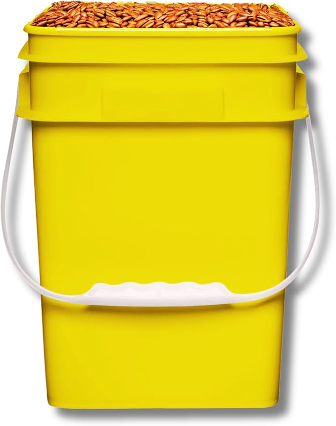 House Naturals 4 Gallon Square Buckets with lids- Made in USA Container- Pack of 10 (Yellow - Black lids)