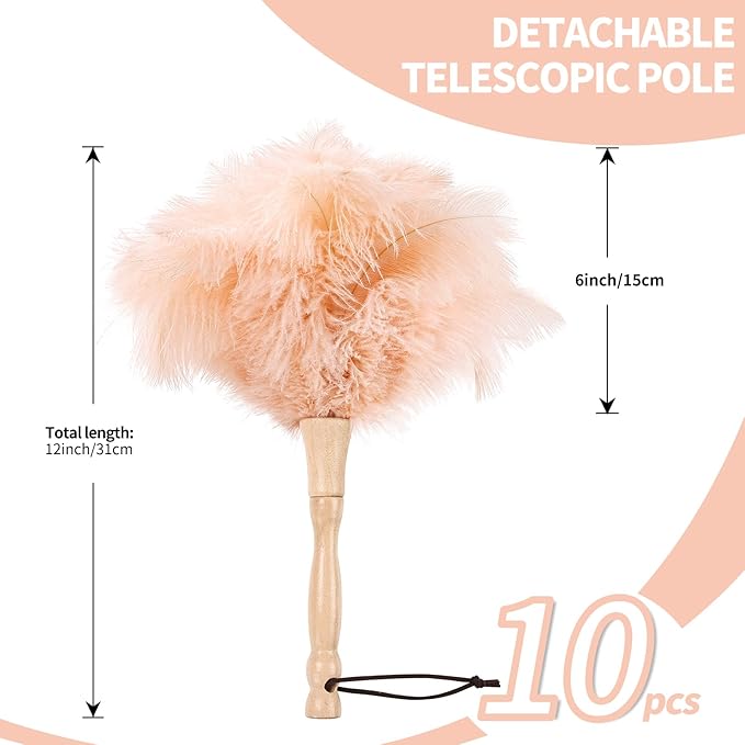 MehelloFeather Ostrich Feather Duster 12 Inch Handheld Duster Supplies, Wooden Handle Feather Duster for Cleaning Keyboard Home Car Office (Champagne 10Pcs)