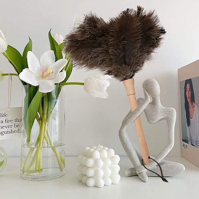 Daieeparty Ostrich Duster Fluffy Natural Feather Dusters with Wooden Handle Cleaning Supplies for Home Office Car (2, 16inch)