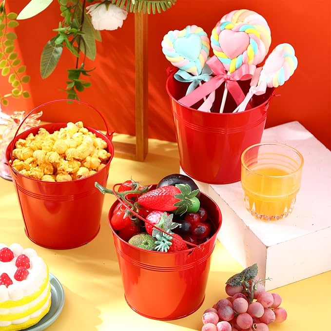 Rtteri 24 Pcs Small Metal Buckets with Handle Mini Buckets Bulk for Easter Party Favors Classroom Pencil Holder Flower Pot Plant Basket for Crafts DIY Projects, 6 x 5 Inch(Red)
