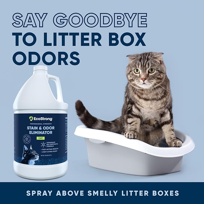 Eco Strong Cat Stain And Odor Remover| Enzyme Urine Odor Neutralizer - Stain Remover for Carpet, Litter Boxes, Bedding, and Laundry [Citrus Scent Gallon Value Size]