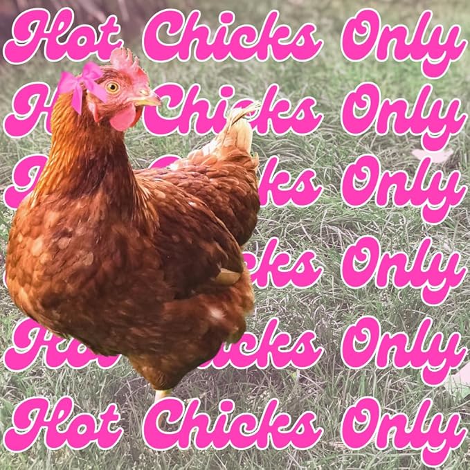 Hot Chicks Only | The Original Pink Poultry Pro Feeder DIY Port PVC Gravity Fed Chicken Feeder 3 Ports and Hole Saw | Rain Proof, Weather Resistant Chicken Feeder (Hot Chick Feeder Kit)