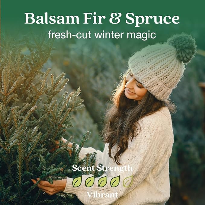 Enviroscent Non Toxic Air Freshener Plug-in Home Fragrance Last 45+ Days | Kit includes 1 Refillable Plug In Warmer & 1 Scent Refill (Balsam Fir & Spruce)