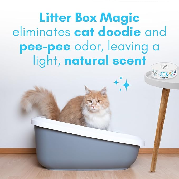 Litter Box Magic Cat Litter Deodorizer Jar (Fresh Scent, 16 Oz, Pack of 1) - Cat Litter Odor Absorber Gel In A Jar - Litter Box Pet Air Freshener - Litter Odor Eliminator to Freshen Air