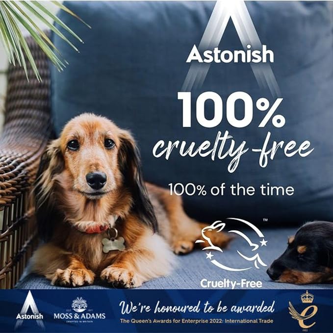 Astonish Streak Free Window & Glass Cleaner Spray Bottle With Vinegar For Deep Cleaning - Eucalyptus & Lemon Scented Home And Bathroom Cleaner - Vegan Cruelty Free Household Cleaning Supplies, 750ml