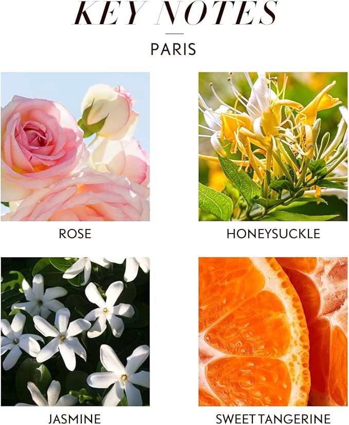JCLOUD Paris Essential Oil for Diffuser - Hotel Diffuser Oil & Home Luxury Scents - Pure Aromatherapy Diffuser Oil with Rose, Jasmine and Honeysuckle, Natural & Pet Safe - 10mL