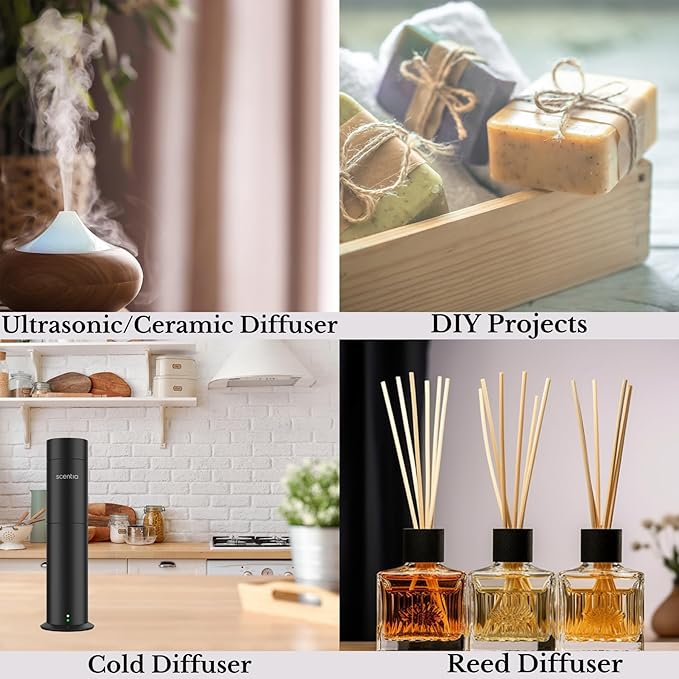 Scentia Hotel Diffuser Oil Inspired by The Hotel Costes Paris Scent - 50 mL 1.69 fl oz - Fragrance Oil Blend Rose,Clove &Sandalwood for Aromatherapy Diffuser & Humidifiers -Paris