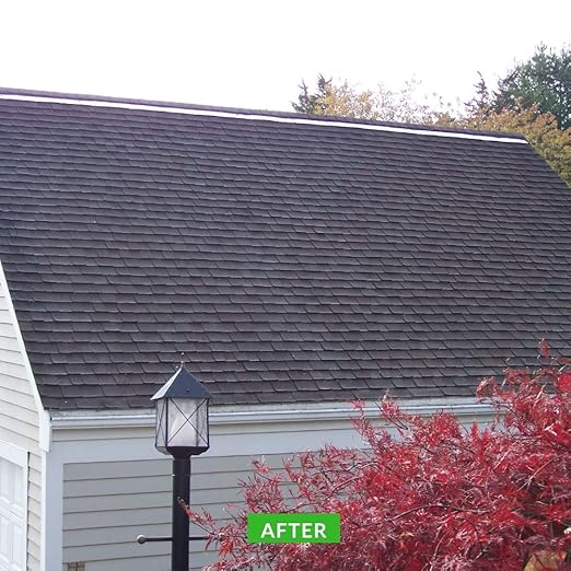 Wash Safe™ SUPREME Eco-Safe and Organic All-Purpose Exterior Cleaner, 10 lb | | Clear, Bleach-Free Powder Solution | Clean Up to 10,000 sq. ft. of Roof, Vinyl Siding, Wood, Decks, Concrete and More