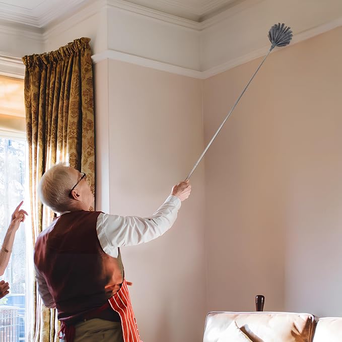 PRETYZOOM Extendable Cobweb Duster with Telescoping Pole and 3 Cleaning Heads Lightweight Spider Web Remover for High Ceilings and Outdoor Use Adjustable Length up to 94.5 Inches