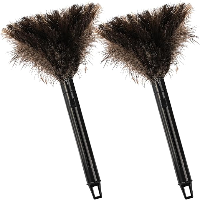 Goaste 2 Pack Ostrich Feather Duster, 10 Inch Fluffy Natural Feather Duster, Soft-Feather Mopping with Plastic Handle, Extensible Ostrich Feather Cleaning Supplies for Keyboard, Home, Car, Office