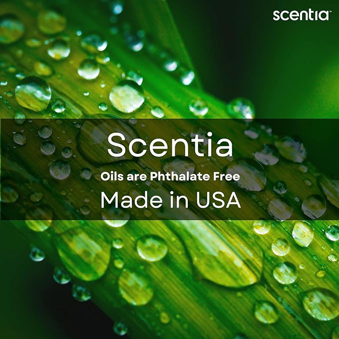 Scentia W Magic Hotel Diffuser Oil - 120 mL 4.06 fl oz - Aromatherapy Fragrance Inspired by 5-Star Hotels | Notes of Bergamot, Lemongrass, Jasmine