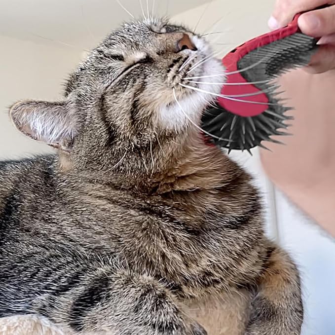 KittyWand Cat Brush, Pink. Designed for Comfort, Created for Results. This innovative grooming brush features multi contoured shapes that gently adapt to your cats body for stress free grooming.