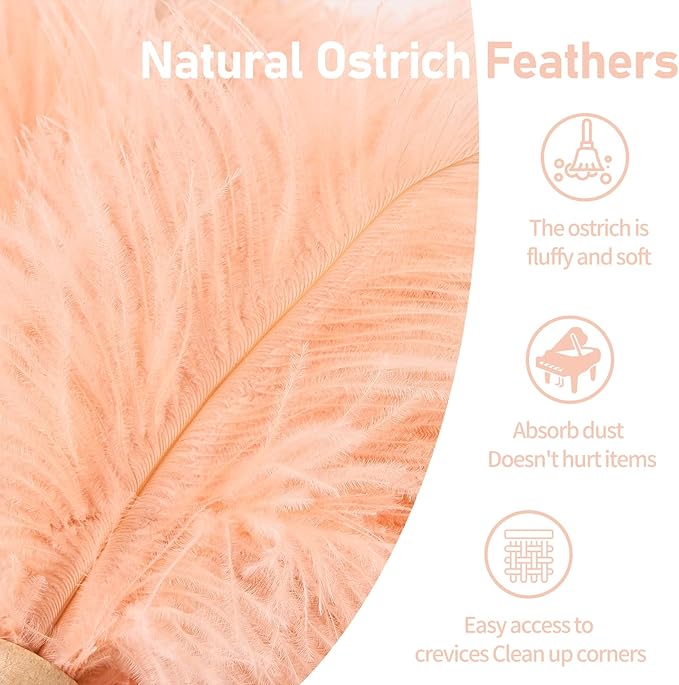 MehelloFeather Ostrich Feather Duster 12 Inch Handheld Duster Supplies, Wooden Handle Feather Duster for Cleaning Keyboard Home Car Office (Champagne 2Pcs)