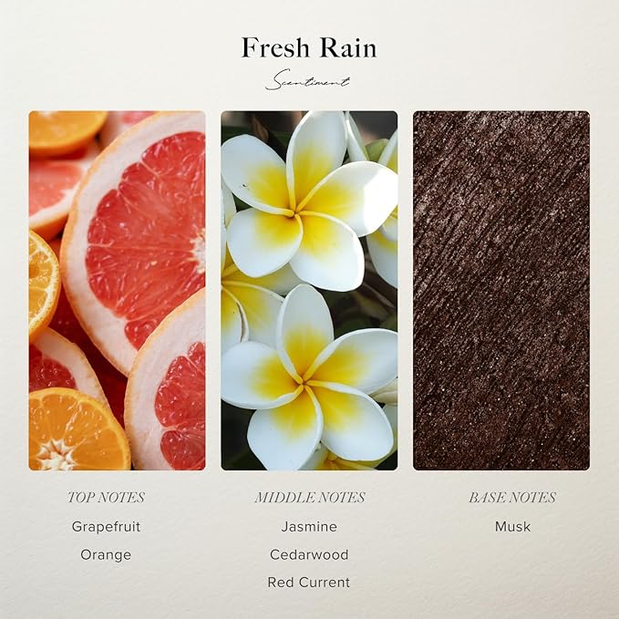 Scentiment Diffuser Oil - Fresh Rain | Aromatherapy Home Fragrance | Inspired by Marriott® Hotels | Luxurious Scent with Notes of Fresh Grapefruit and Crisp Red Currant, (500mL)