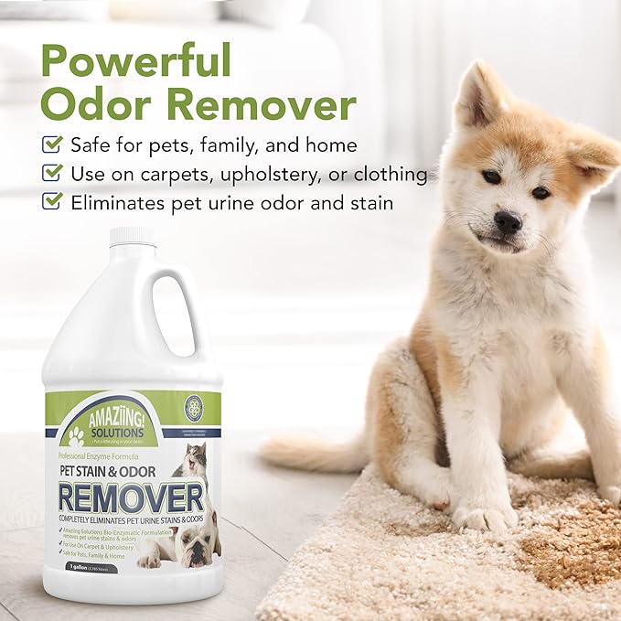 Amaziing Solutions Pet Stain and Odor Remover - Enzyme Cleaner, Pet Urine Odor Eliminator Refill - Floor & Carpet Cleaner, Pet Deodorizers For Home, Fabric Freshener W/Fresh, Clean Scent, 1 Gallon