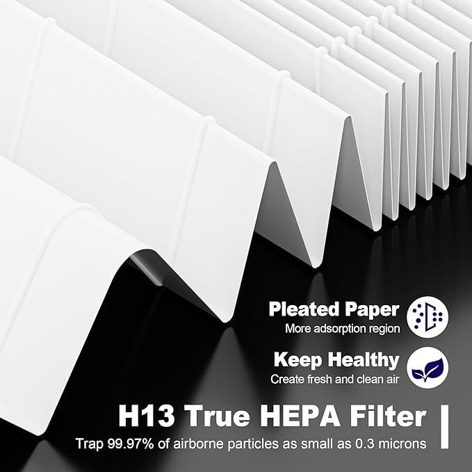 116130 Replacement Filter H for Winix 5500-2 AM80 Plasmawave Air Purifier, True HEPA Filter and Activated Carbon Filter Combo Pack, 3 Set