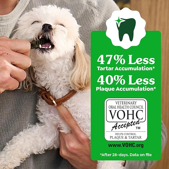 Greenies Veterinarian-Recommended Adult Natural Dental Dog Treats Petite Size, Original Flavor, 36 oz. Pack, 60 Count