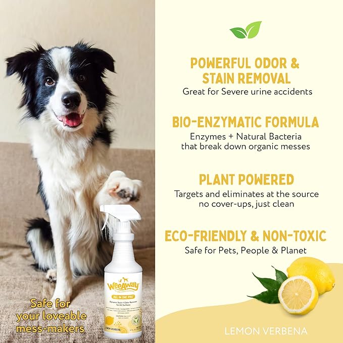 Wee Away Pet Stain and Odor Remover Spray, Biodegradable Enzyme Cleaner for Dog and Cat Urine, Poop, Diarrhea, & Vomit, For Carpets, Upholstery, Cages, Litter Boxes (32 oz) (Lemon Verbena)