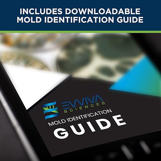 Evviva Sciences Mold Test Kit for Home - 5 Simple Detection Tests w/Optional Lab Analysis (Extra Fee), Test HVAC System, Home Surfaces, & Indoor Air Quality - Downloadable Mold Information Guide