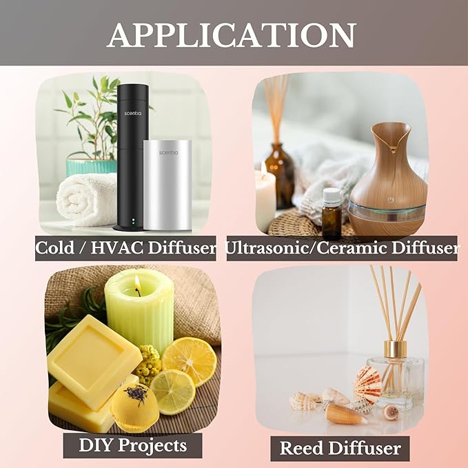 Scentia W Magic Hotel Diffuser Oil Inspired by W Signature Hotel - 20 mL 0.67 fl oz - Aromatherapy Oil for Diffusers, Candle Making & DIY Crafts