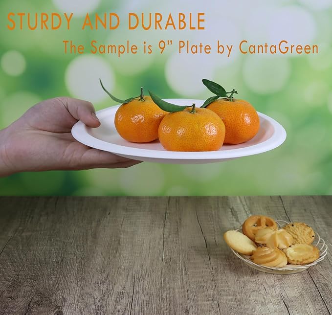 500 Count 6 Inch Small Heavy Duty Compostable Dessert Plates, Biodegradable Bagasse and Bamboo Fiber Paper Plates