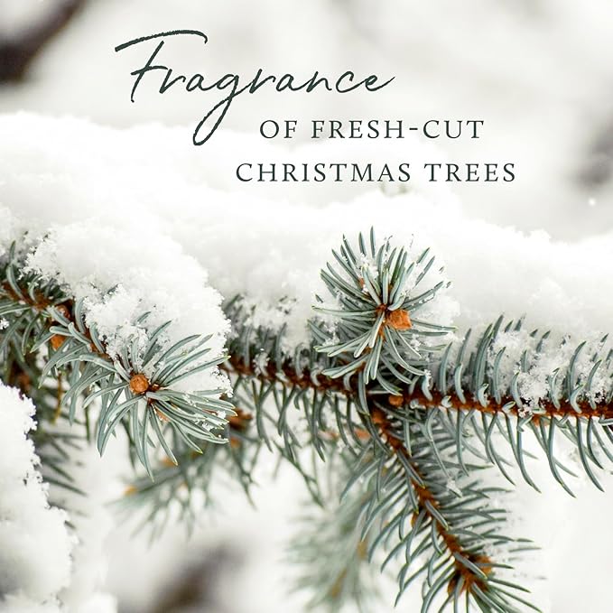 Frasier Fir Concentrated Laundry Detergent