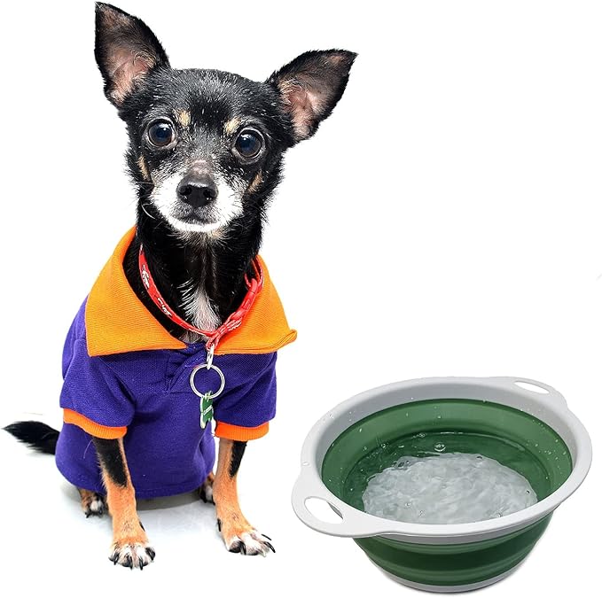 SAMMART 2.6L (0.68 Gallon) Collapsible Tub - Foldable Dish Tub - Portable Washing Basin - Space Saving (Grey/Dark Sea Green, 1)