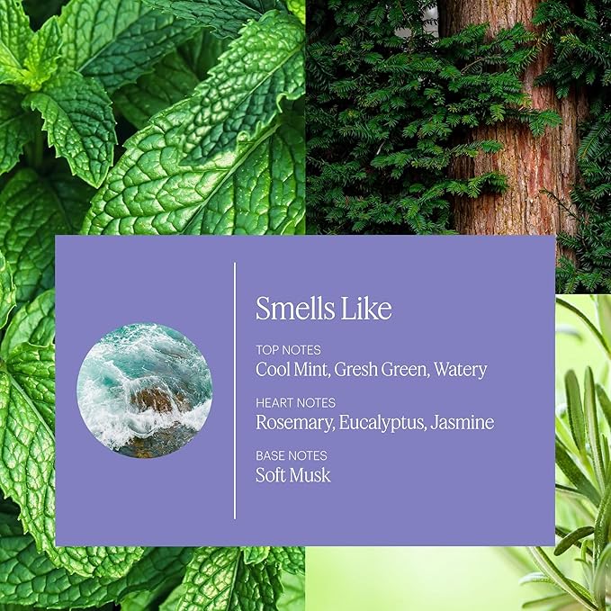 Aera Mini Spa La La - Essential Oil for Home – Energizing MoodBoost Fragrance - Notes of Peppermint and Rosemary - Scent Refill - Capsule Size Works with Mini Diffuser