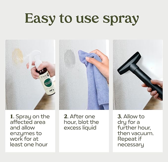 PAWFUME Stain & Pet Urine Odor Eliminator, 1-Pack – Removes Impurities in Seconds – Enzymatic Formula, Quick-Dry Action, & Eco-Friendly Ingredients – Upholstery, Fabrics, and Carpet Cleaner Spray