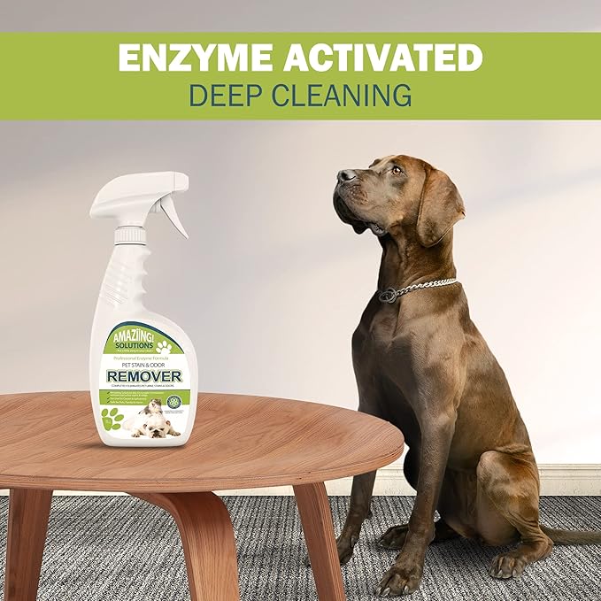 Amaziing Solutions Pet Stain and Odor Remover - Enzyme Cleaner, Pet Urine Odor Eliminator Spray - Floor & Carpet Cleaner Spray, Pet Deodorizers For Home, Fabric Spray W/Fresh, Clean Scent, 32oz Spray