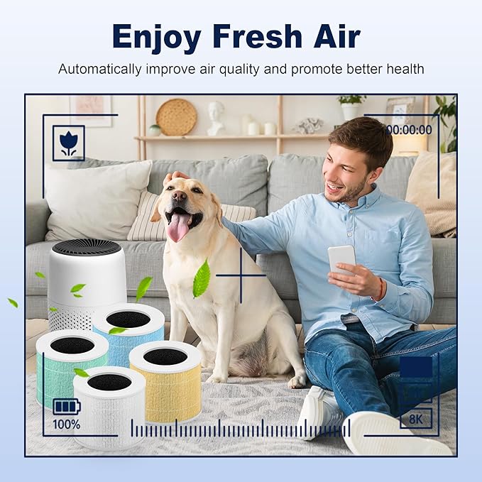 Core Mini Smoke Remover Replacement Filter for LEVOIT Core Mini and Core Mini-P Air Purifier, 3-in-1 H13 Grade True HEPA and Activated Carbon, Core Mini-RF-SR, 6 Filter & 10 Fragrance Sponge, Blue