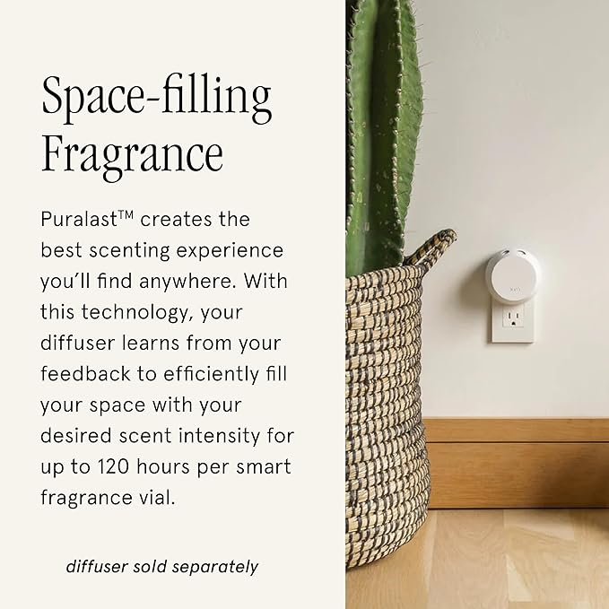 Pura & Becki Owens Home Scent Refill - Smart Air Diffuser - Up to 120-Hours of Luxury Fragrance per Refill - Home Essential - Clean & Safe Diffuser Fragrance - 2 Pack, Tangerine Dream