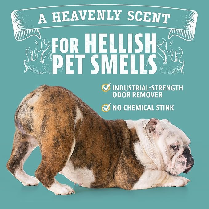 ANGRY ORANGE Pet Wipes + Odor Eliminator – Unscented Grooming Wipes for Dogs and Cats (80 ct) + Citrus Cleaner for Pet Urine, Stains and Smells (24 oz)