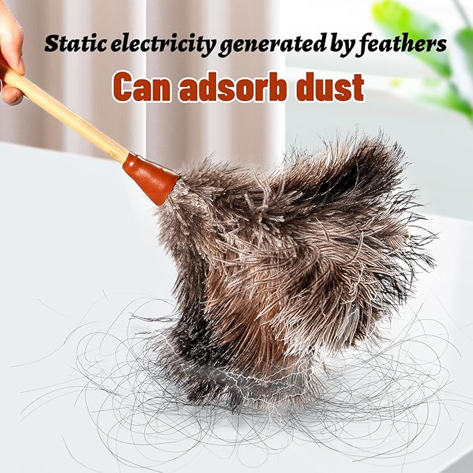 Natural Good Ostrich Feather Duster with Bamboo Handle, Electrostatic Dust Remove for Ceiling，Fans，Bookshelves, Sofa, Windows, Fit for Home, Office and Cars