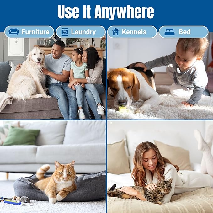 Carpet Cleaner and Deodorizer for Pets - Stain and Odor Treatment | Neutralizes Urine Stains and Eliminates Smell & Residue, Made in The USA - Biocelan Pet by Harvest and Home - 1 Gallon