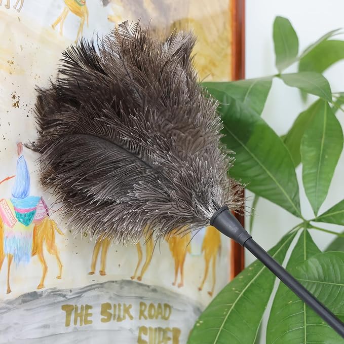 Natural Ostrich Feather Duster 14.9 inch Fluffy Mini Dusters with Plastic Handheld for Cleaning Car Keyboard Office 6 PCS