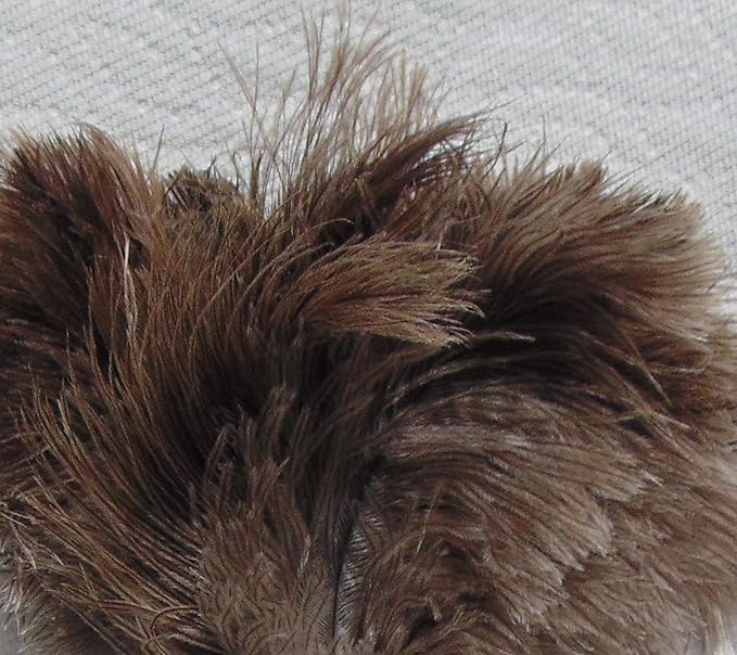 AAYU Feather Duster (36cm) 14.5 inch for Home Cleaning | Soft-Feather Moping and car dusting| Eco-Friendly Genuine Ostrich Dusters with Wooden Handle Easy to Clean Reuse