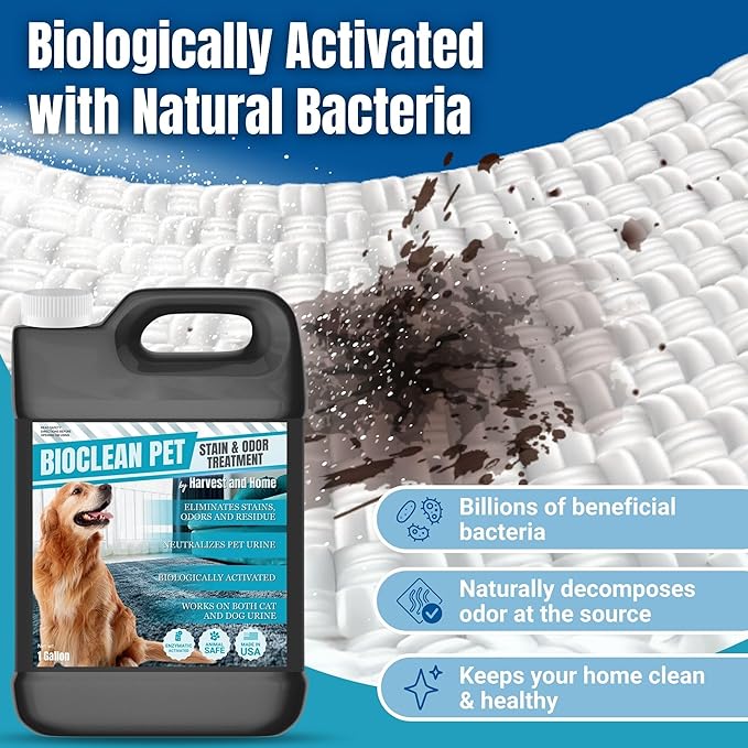 Carpet Cleaner and Deodorizer for Pets - Stain and Odor Treatment | Neutralizes Urine Stains and Eliminates Smell & Residue, Made in The USA - Biocelan Pet by Harvest and Home - 1 Gallon