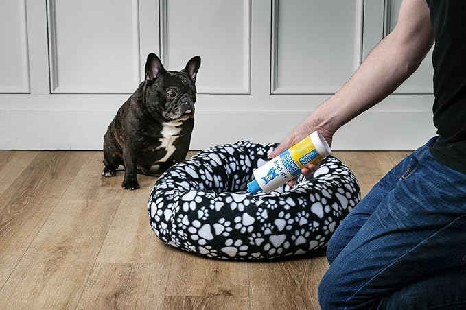 MR LOUIE ODOR & STAIN REMOVER - Safe For Use Around Kids and Pets. Incredibly tough on odors and stains from Blood, to Cat/Dog Urine, Feces, Vomit, to Food Stains like Ketchup, Red Wine, and Coffee.