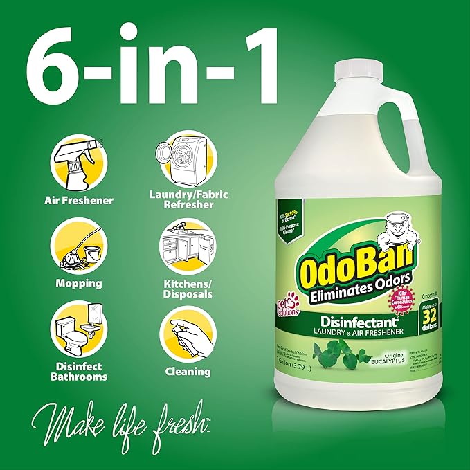 OdoBan Ready-to-Use Disinfectant and Odor Eliminator, Made in the USA, Original Eucalyptus Scent, Set of 2, 32 oz Spray and 1 Gallon Concentrate