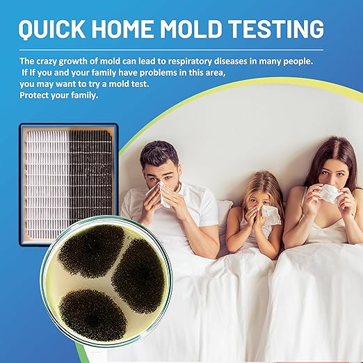 Mold Test Kit for Home,14 Simple Detection Tests,Test HVAC System,Home Surfaces, Indoor Air Quality Testing,DIY Mold Detector,Includes Detailed Mold Identification Guide,Black Mold Testing kit