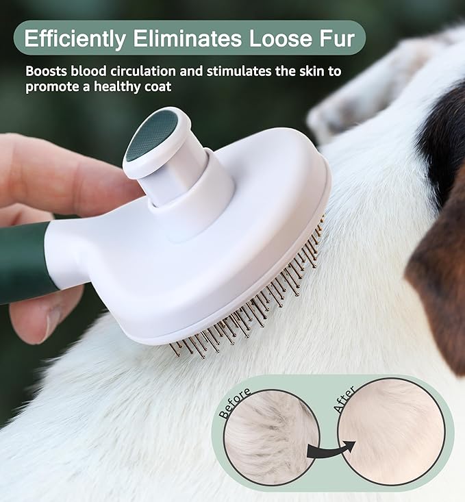 IPTPAS Pet Self-Cleaning Slicker Brush for Dogs & Cats, Deshedding Grooming Comb, Removes Loose Undercoat Hair & Mats, Skin-Friendly Massaging Tool for Long/Short Fur, Large & Small Breeds (Green)