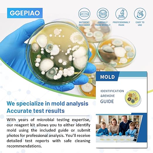 Mold Test Kit for Home,14 Simple Detection Tests,Test HVAC System,Home Surfaces, Indoor Air Quality Testing,DIY Mold Detector,Includes Detailed Mold Identification Guide,Black Mold Testing kit